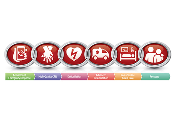 Chain of Survival diagram for sudden cardiac arrest response